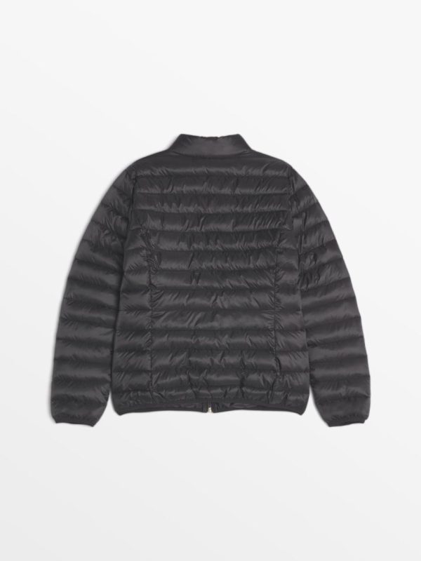 Lynnparde.shop4cd5b244c9 4