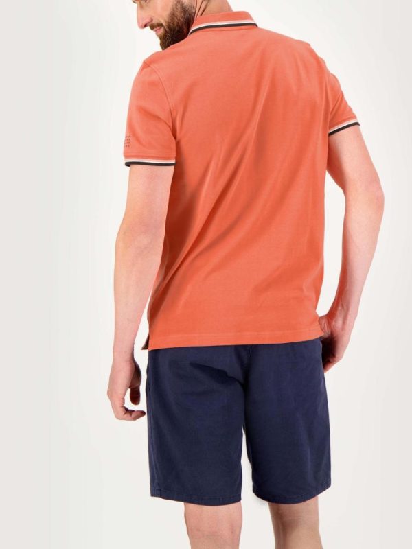 Lynnparde.shop7c84d51496 3